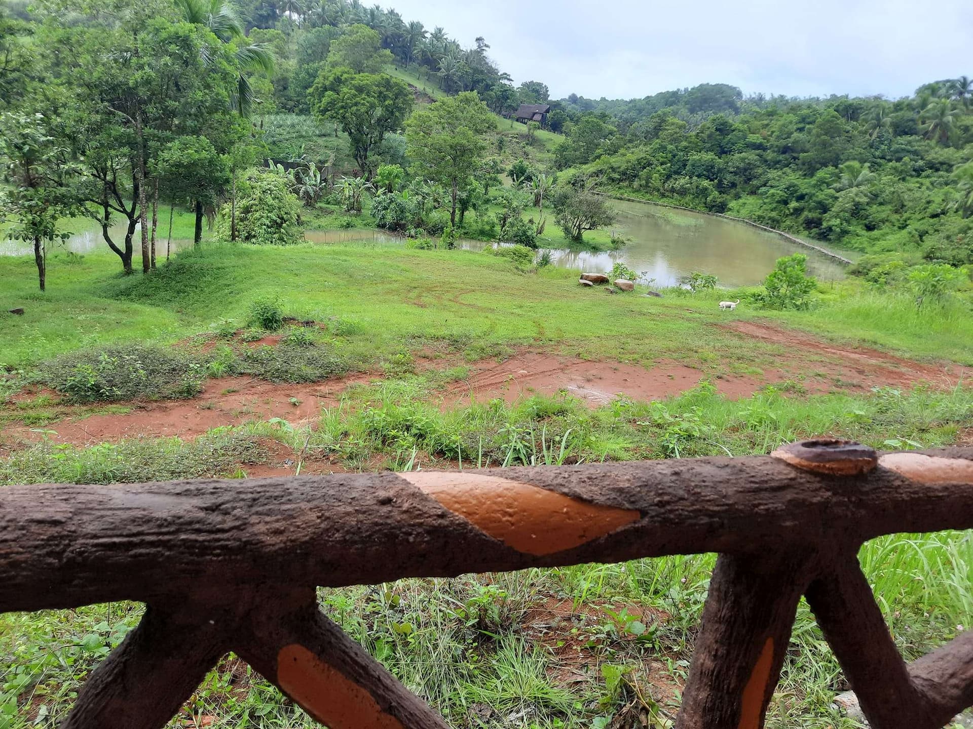 Camp Jawie photo 4