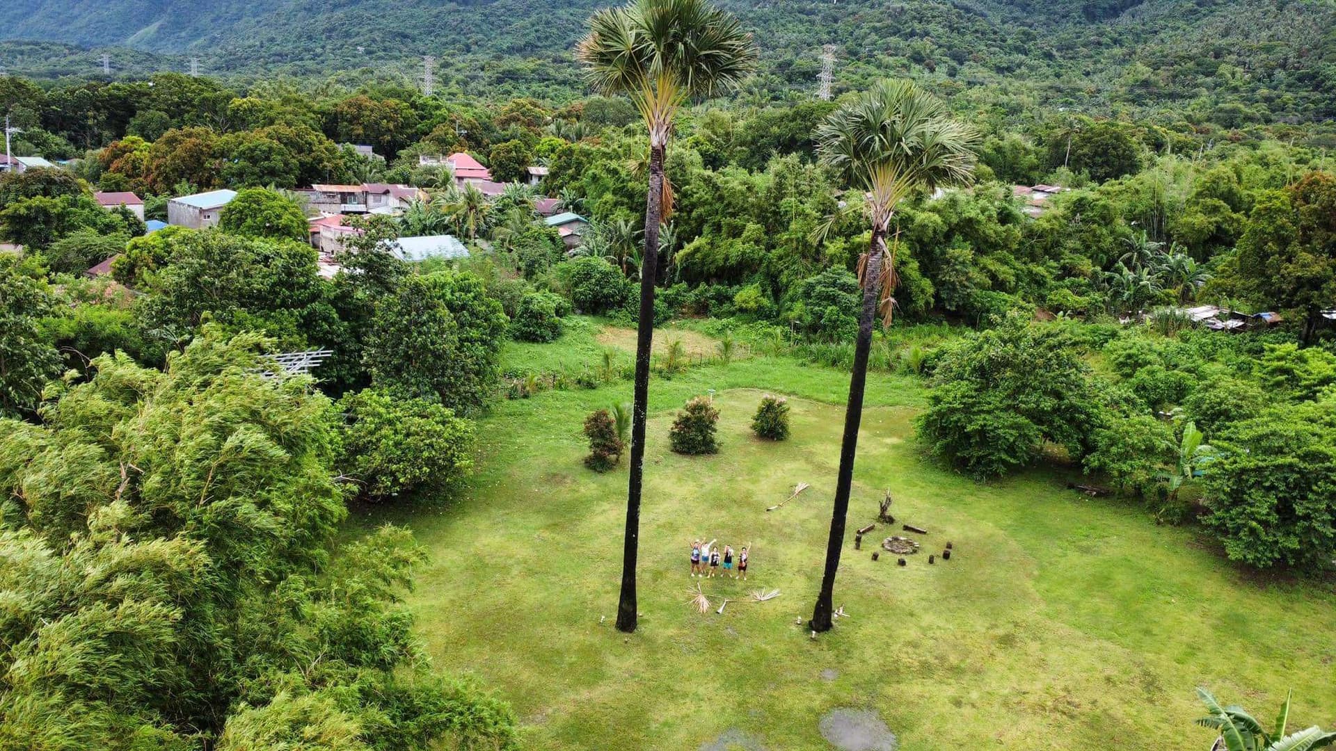 The Buri Farm