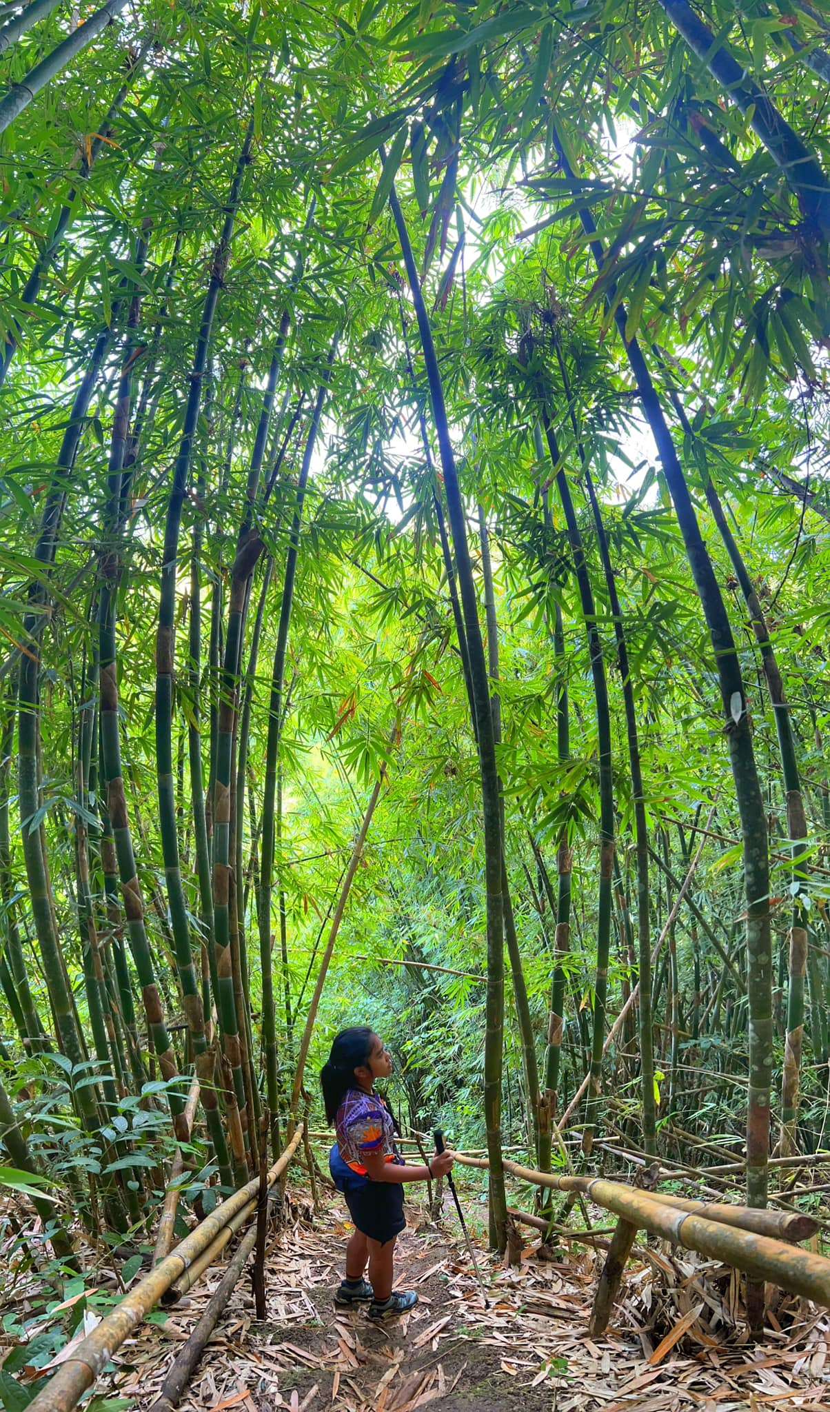 Kamp Maysawa photo 5