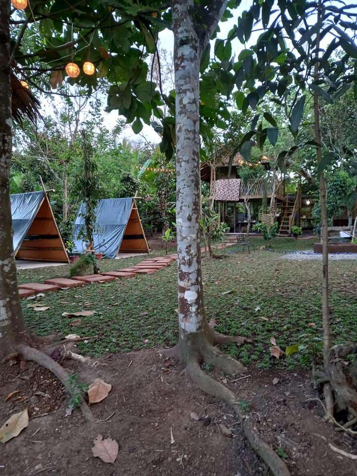 Camp Fidel photo 4