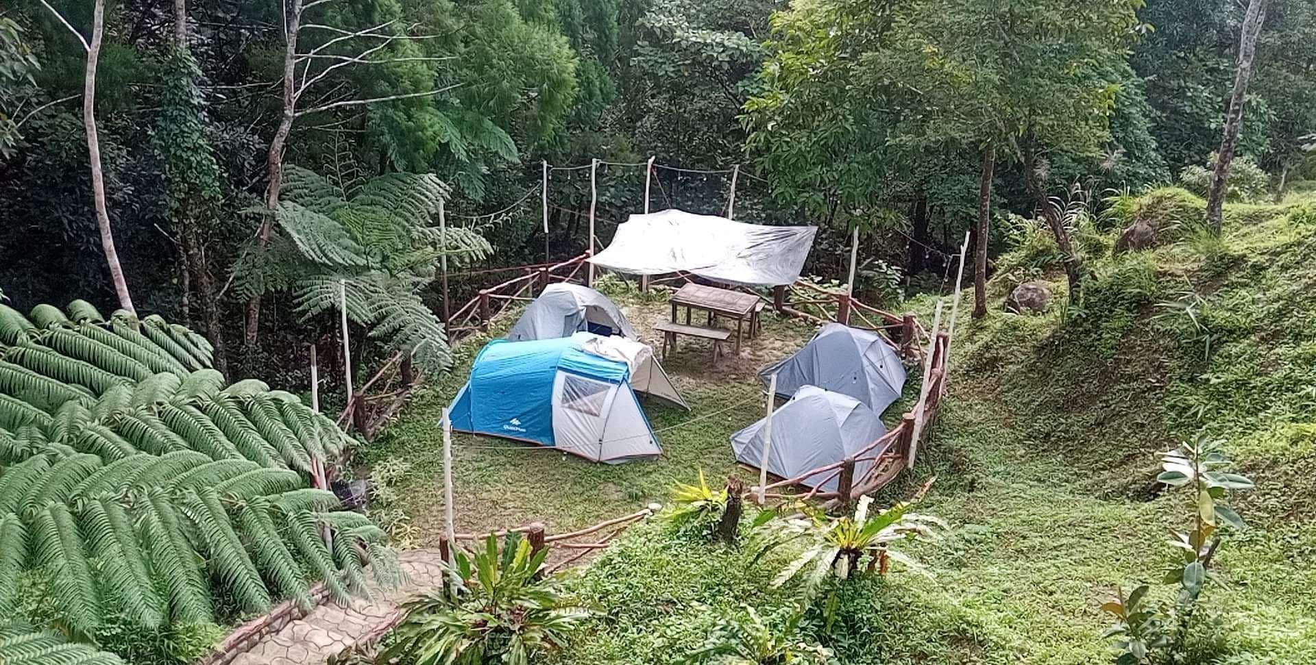 Kamp Lema photo 4