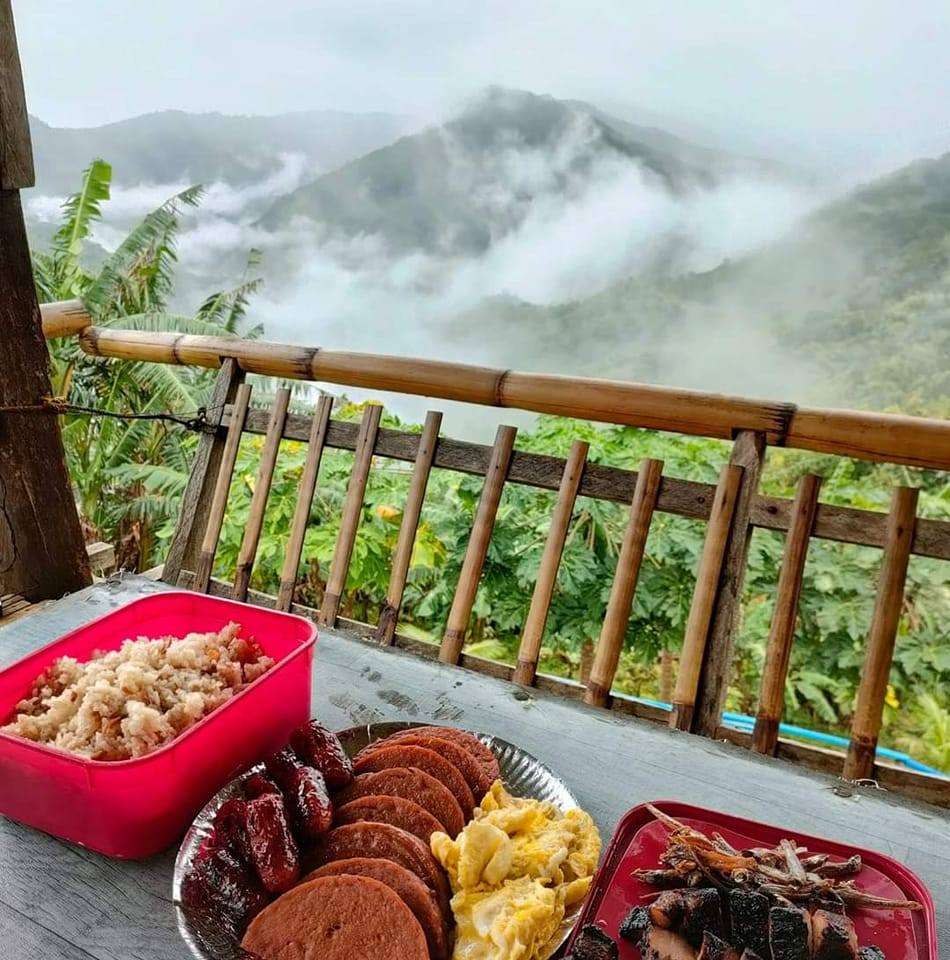 Dreamland Farm Resort