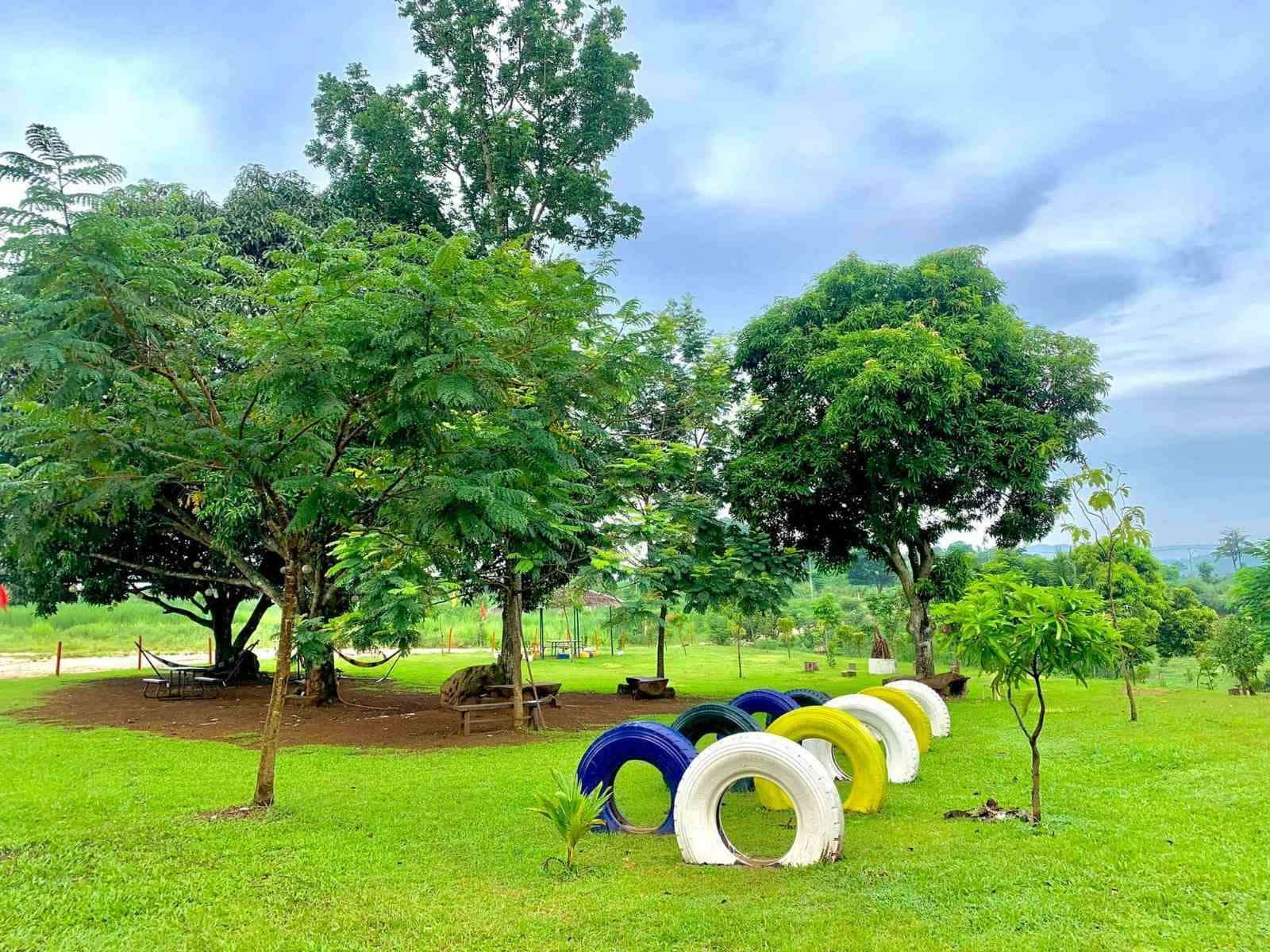 The Playground