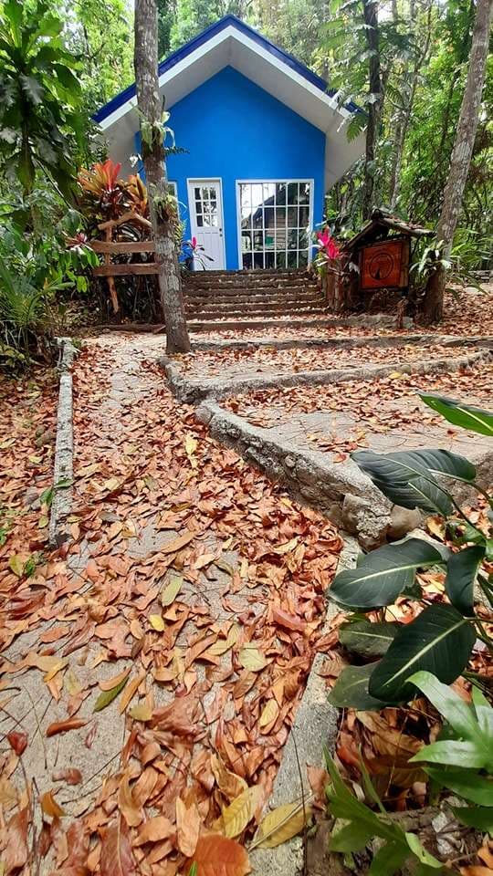 Casa Del Arbol