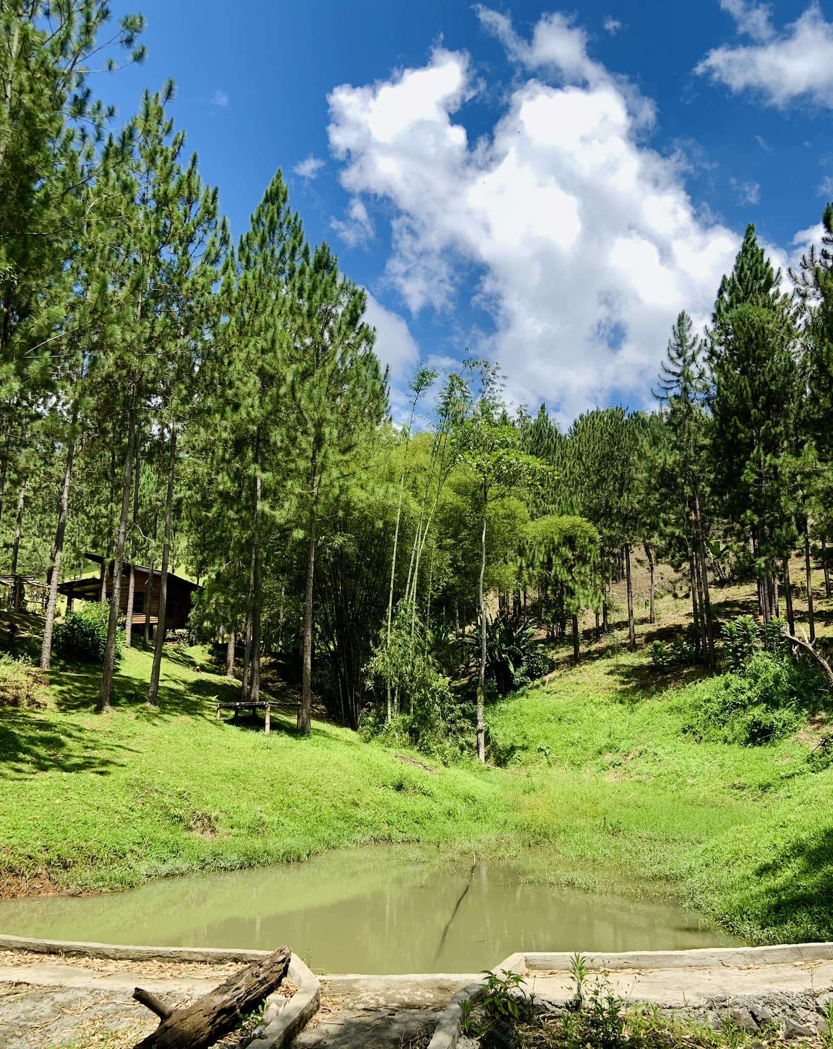 Pine Ridge Bukidnon