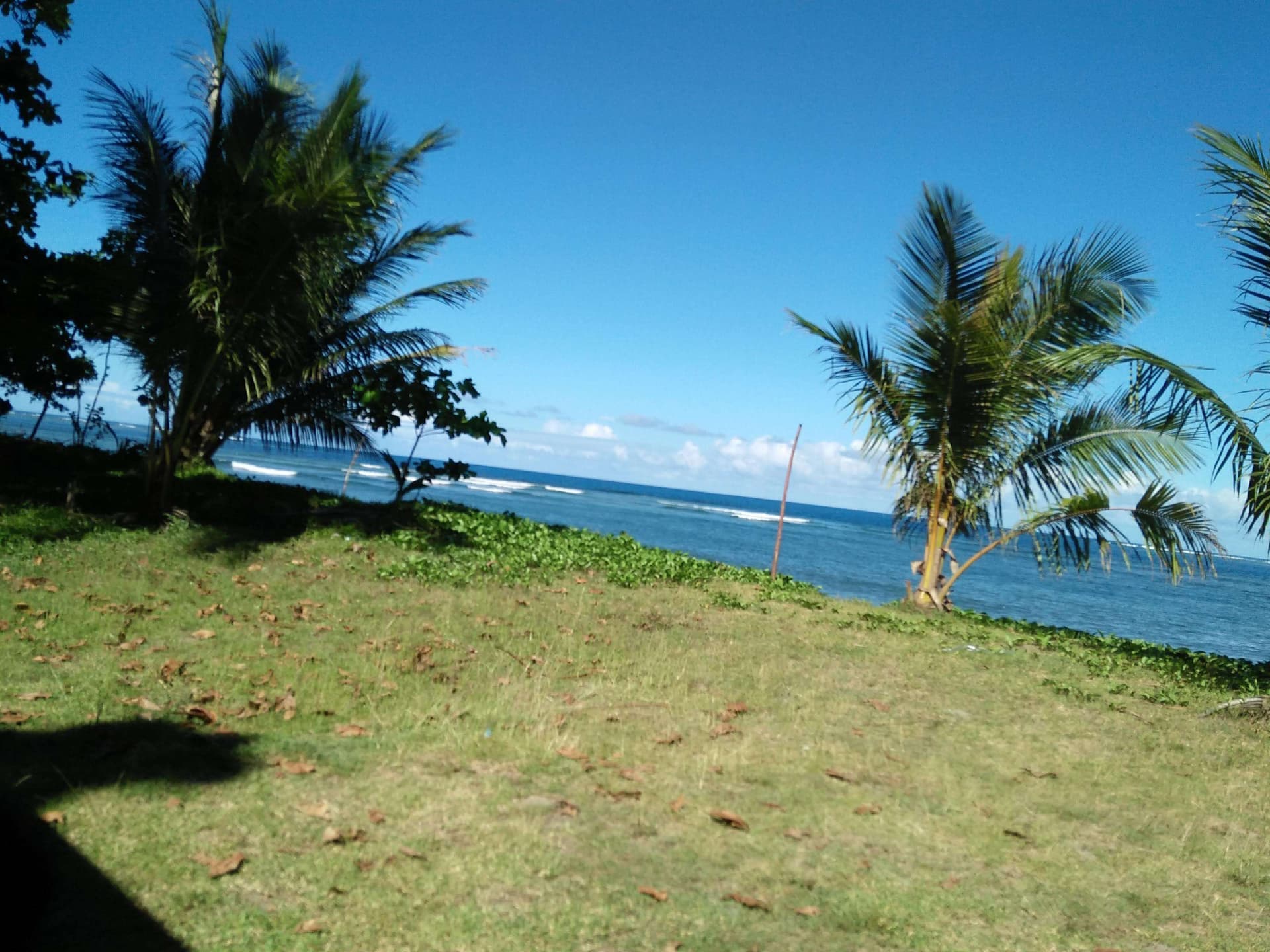 Marihatag Tree Park and Resort