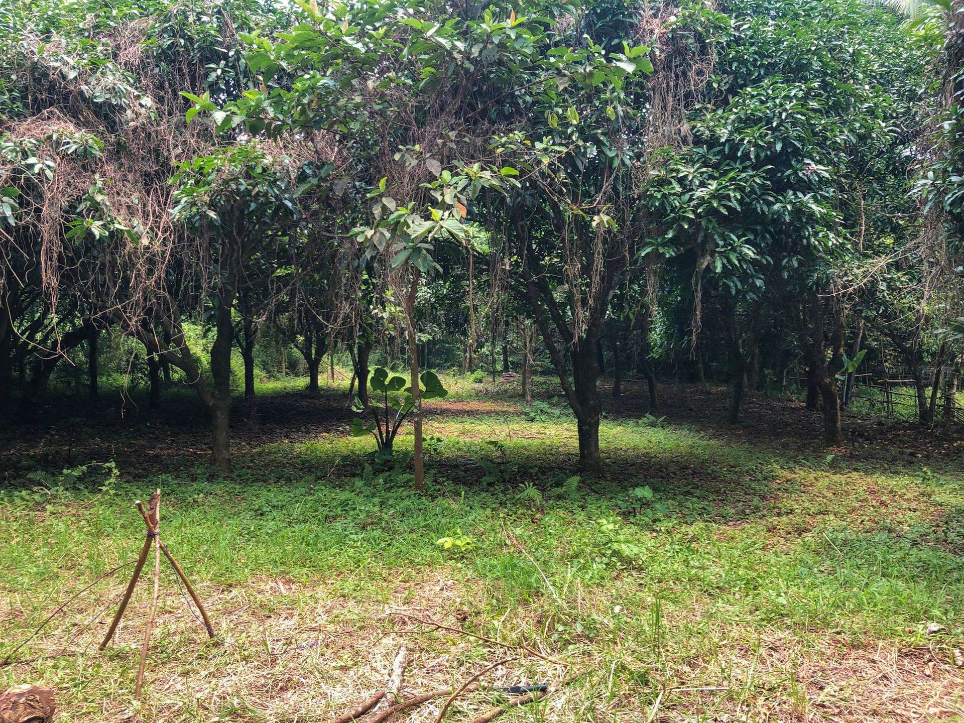 Virfran Camp Ground
