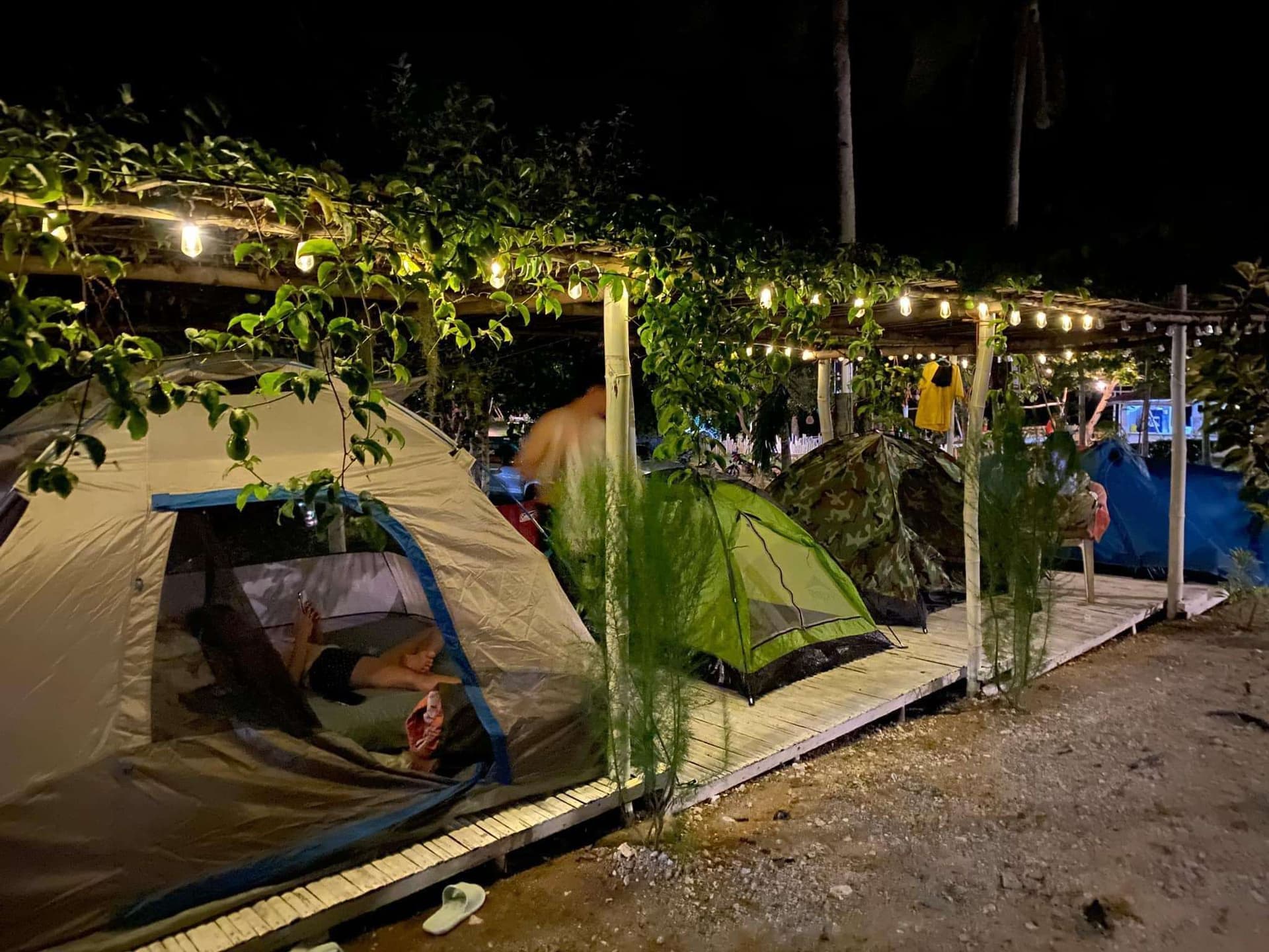 Pearl Beach Camp
